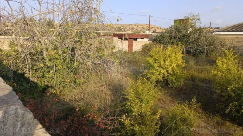 Torpaq Sabunçu r. Satılır