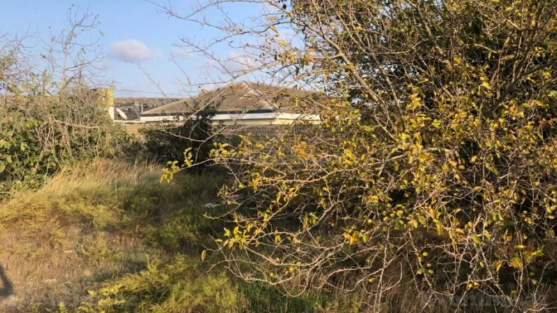 Satılır Torpaq 12 sot Sabunçu r. - şəkil 12