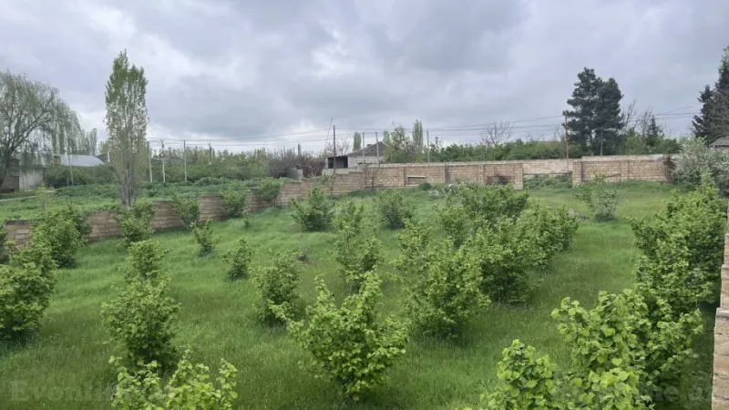 Satılır Torpaq 4 sot Xaçmaz - şəkil 3