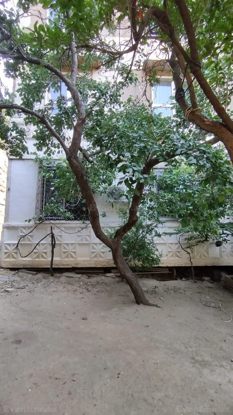 Satılır 3 otaqlı Mənzil Köhnə tikili 70 m² Əhmədli - şəkil 13