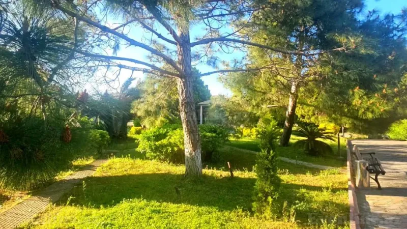 Satılır Torpaq 50 sot Xəzər r. - şəkil 3