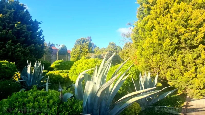 Satılır Torpaq 50 sot Xəzər r. - şəkil 4