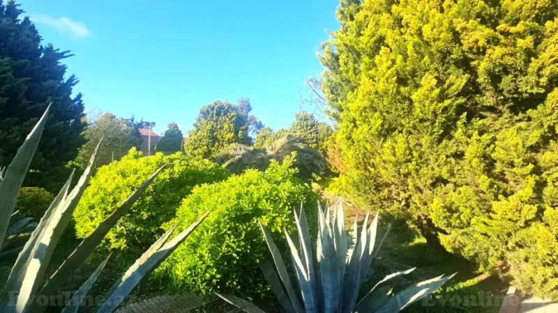 Satılır Torpaq 50 sot Xəzər r. - şəkil 5