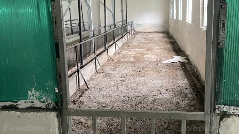 Satılır Obyekt 700 m² Sumqayıt - şəkil 5