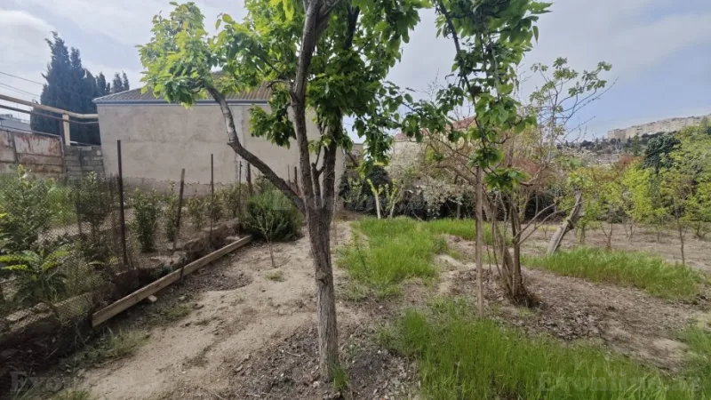 Satılır Torpaq 10 sot Qaraçuxur - şəkil 2