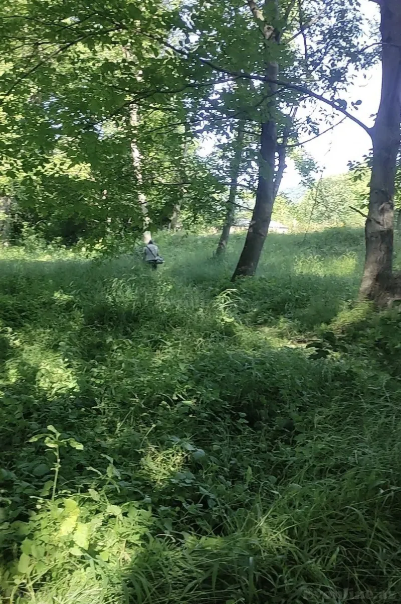 Satılır Torpaq 9 sot Qusar - şəkil 3