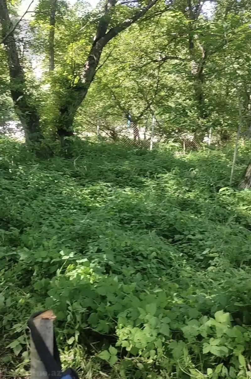 Satılır Torpaq 9 sot Qusar - şəkil 4