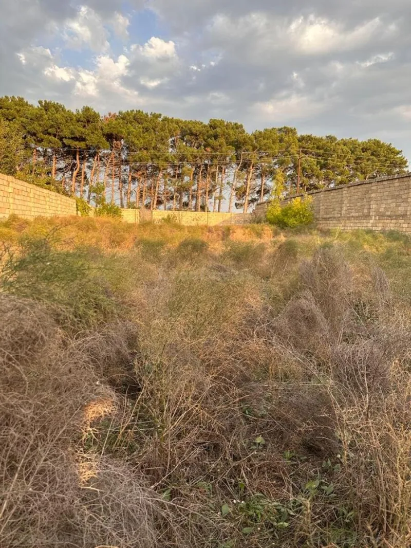 Torpaq Görədil Satılır