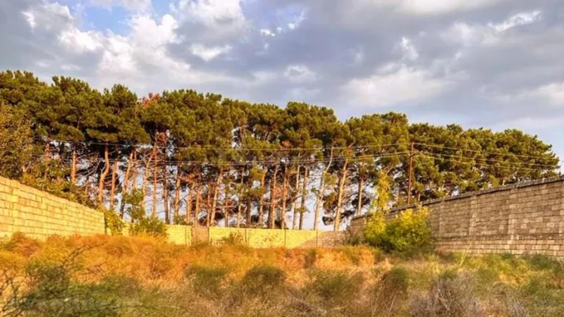 Satılır Torpaq 8 sot Görədil - şəkil 2