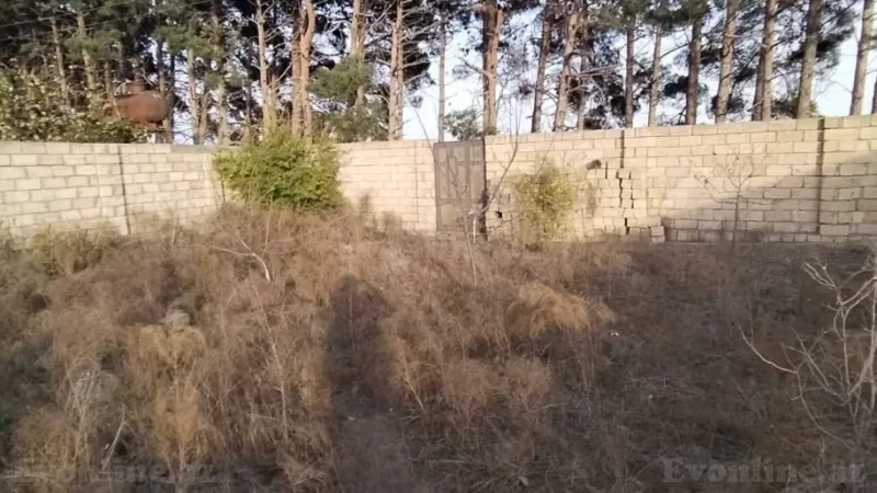 Satılır Torpaq 8 sot Görədil - şəkil 3