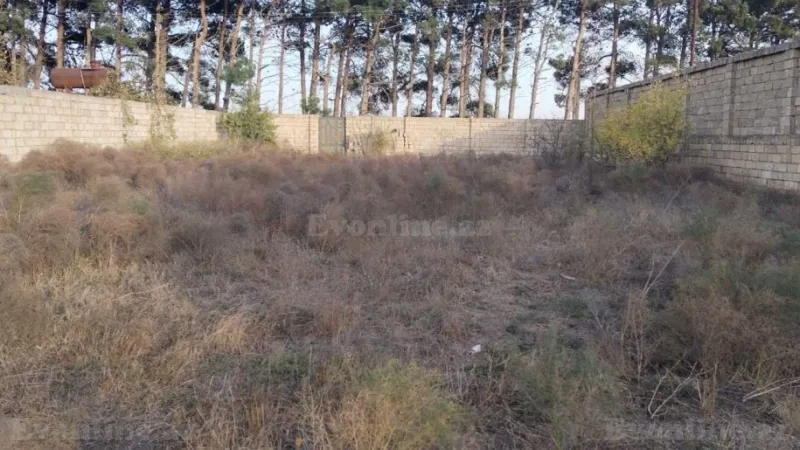 Satılır Torpaq 8 sot Görədil - şəkil 6