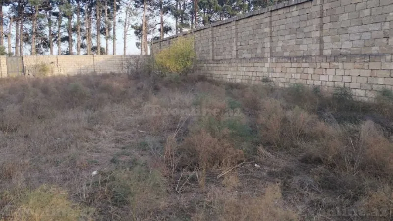 Satılır Torpaq 8 sot Görədil - şəkil 7