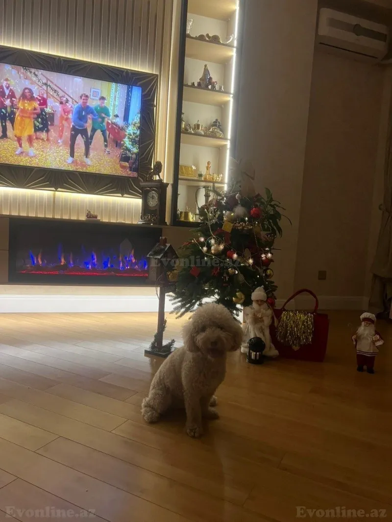 Satılır 3 otaqlı Mənzil Yeni tikili 90 m² Yasamal