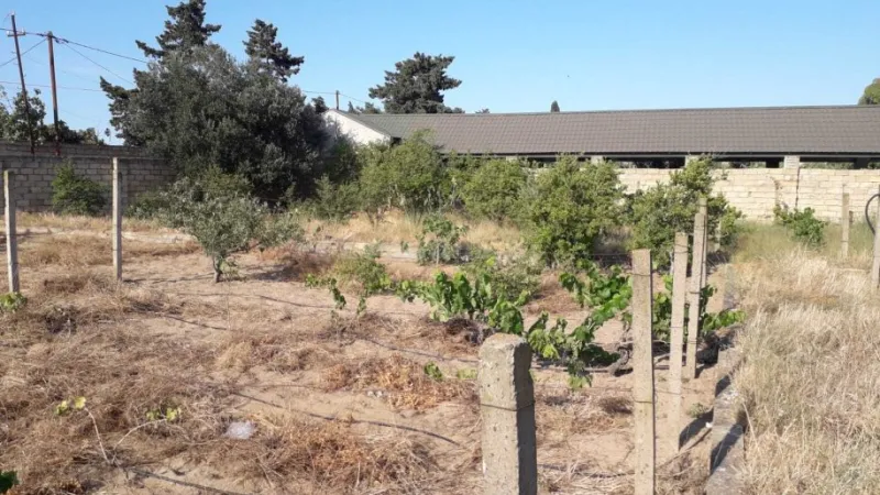 Satılır Torpaq 21 sot Nardaran - şəkil 3