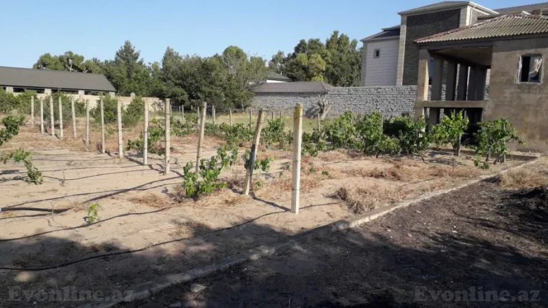 Satılır Torpaq 21 sot Nardaran - şəkil 4