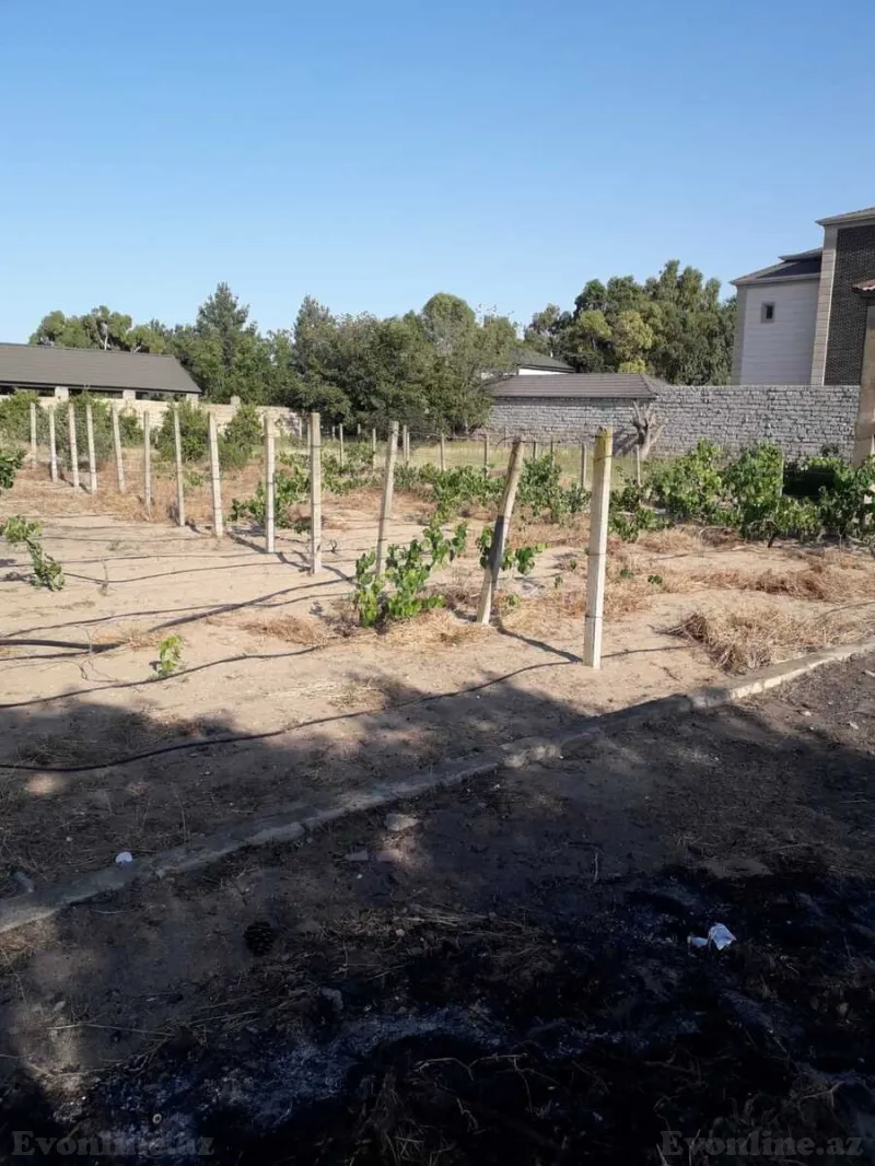 Satılır Torpaq 21 sot Nardaran - şəkil 5