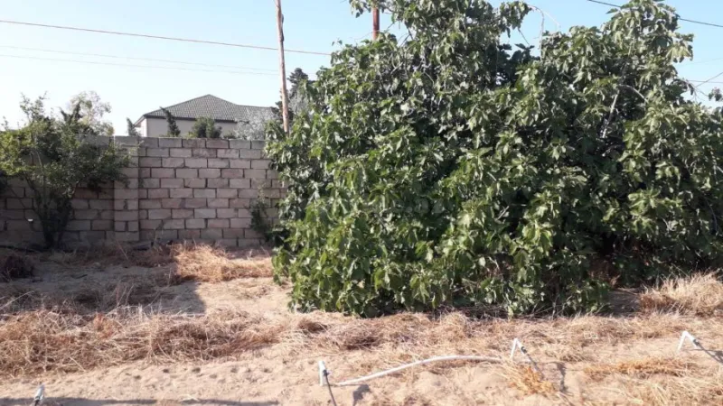 Satılır Torpaq 21 sot Nardaran - şəkil 8