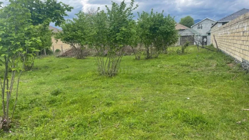 Satılır Torpaq 11 sot Zaqatala - şəkil 3