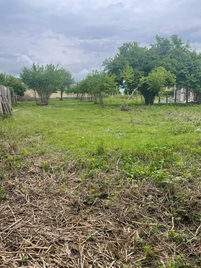 Satılır Torpaq 11 sot Zaqatala - şəkil 4