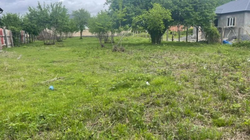 Satılır Torpaq 11 sot Zaqatala - şəkil 5