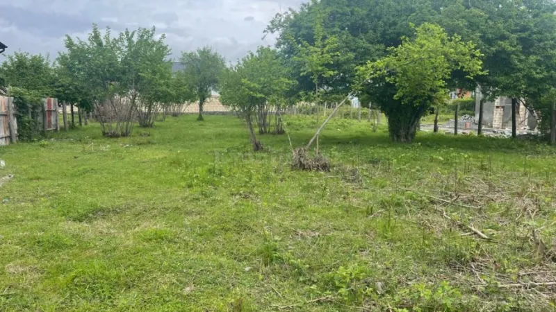 Satılır Torpaq 11 sot Zaqatala - şəkil 6