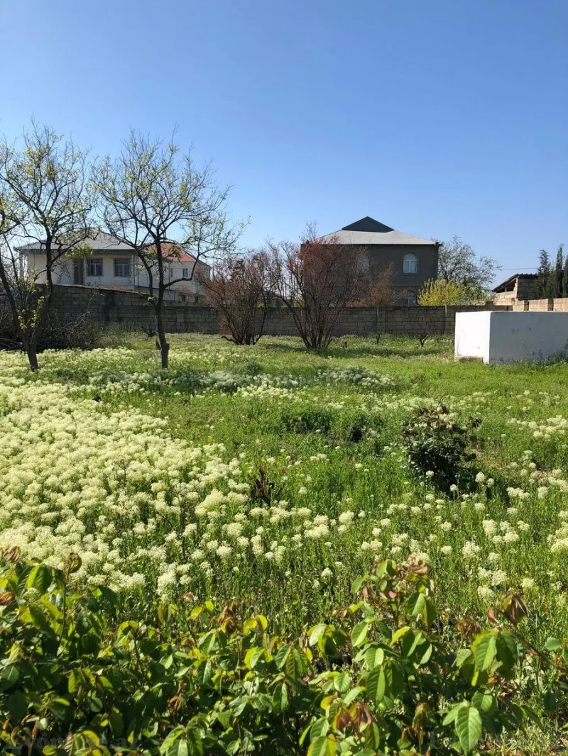 Torpaq Saray Satılır