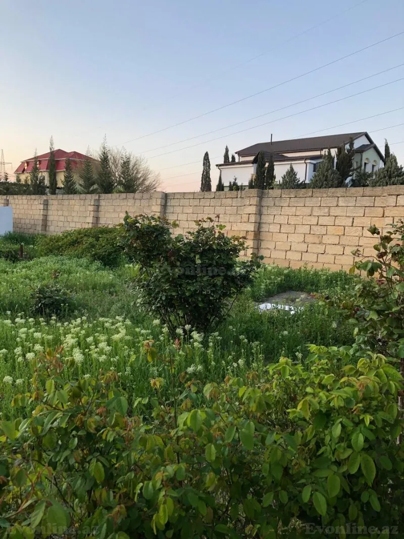 Satılır Torpaq 10 sot Saray - şəkil 3