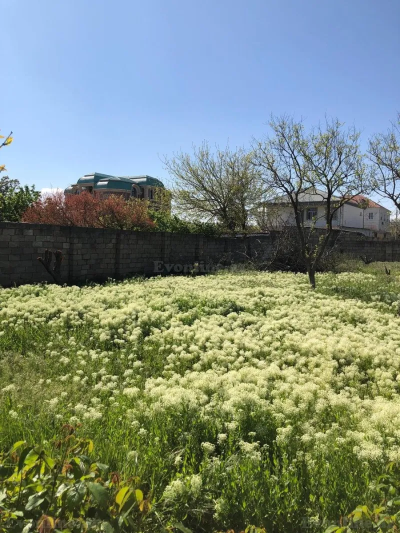 Satılır Torpaq 10 sot Saray - şəkil 4