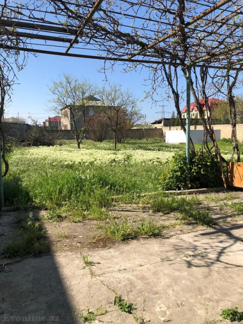 Satılır Torpaq 10 sot Saray - şəkil 7