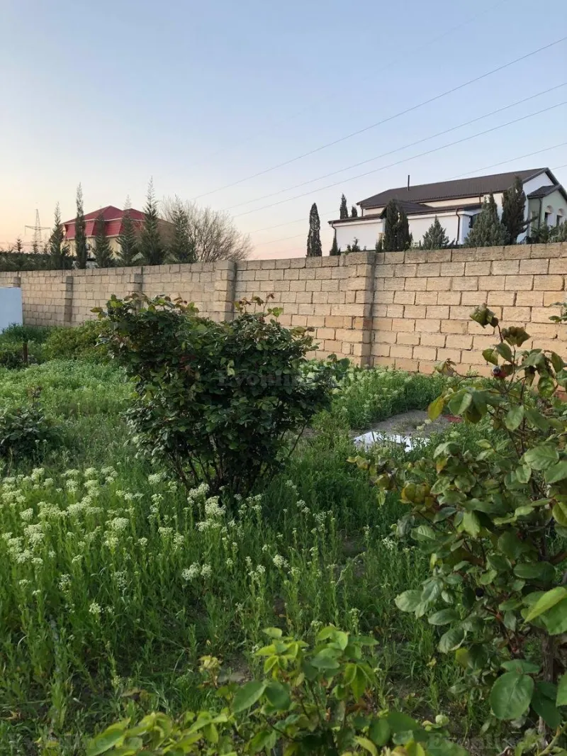 Satılır Torpaq 10 sot Saray - şəkil 9