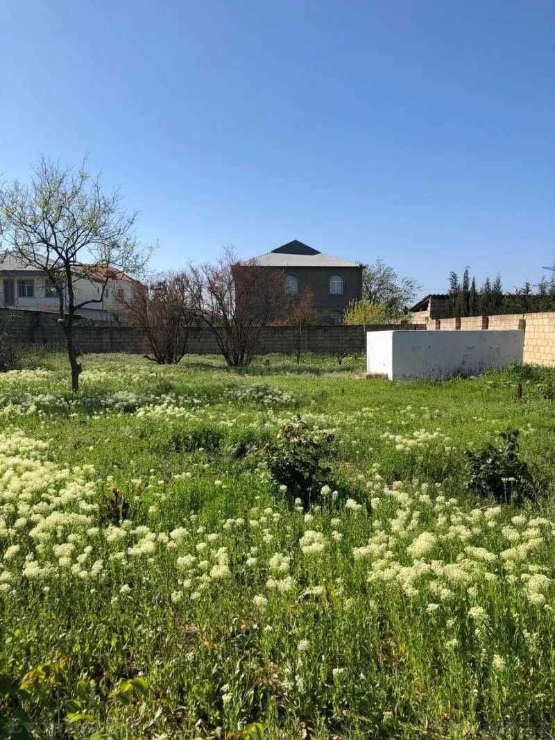 Satılır Torpaq 10 sot Saray - şəkil 11