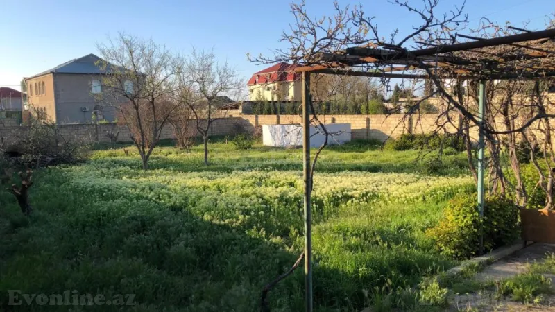 Satılır Torpaq 10 sot Saray - şəkil 14