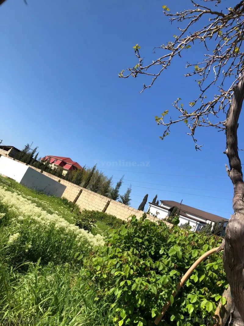 Satılır Torpaq 10 sot Saray - şəkil 16