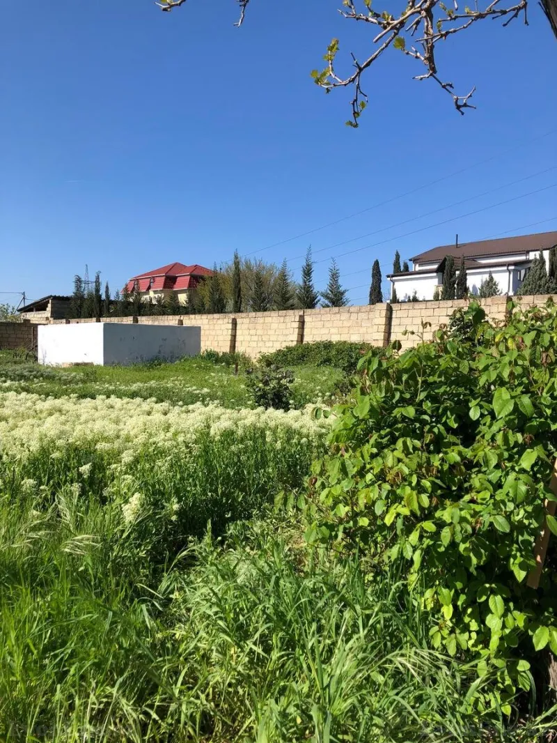 Satılır Torpaq 10 sot Saray - şəkil 17