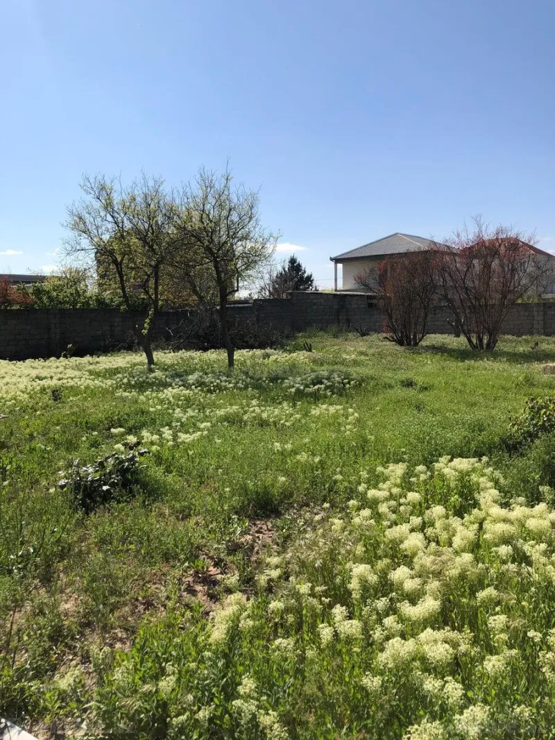 Satılır Torpaq 10 sot Saray - şəkil 18