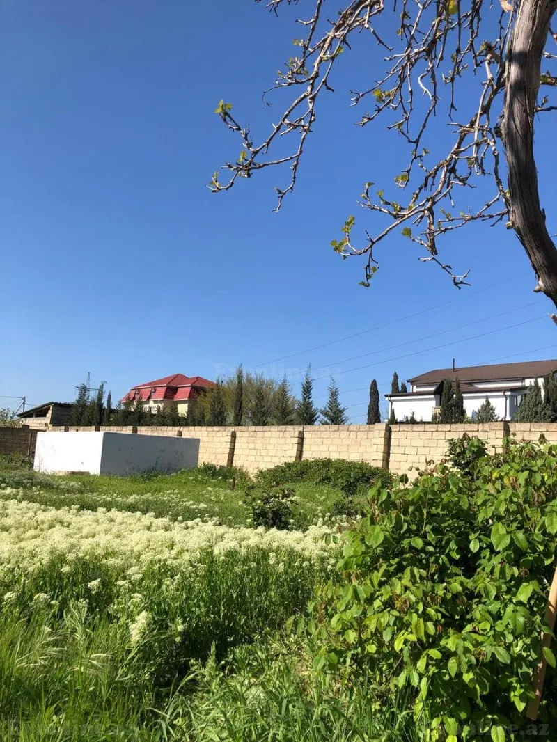 Satılır Torpaq 10 sot Saray - şəkil 19