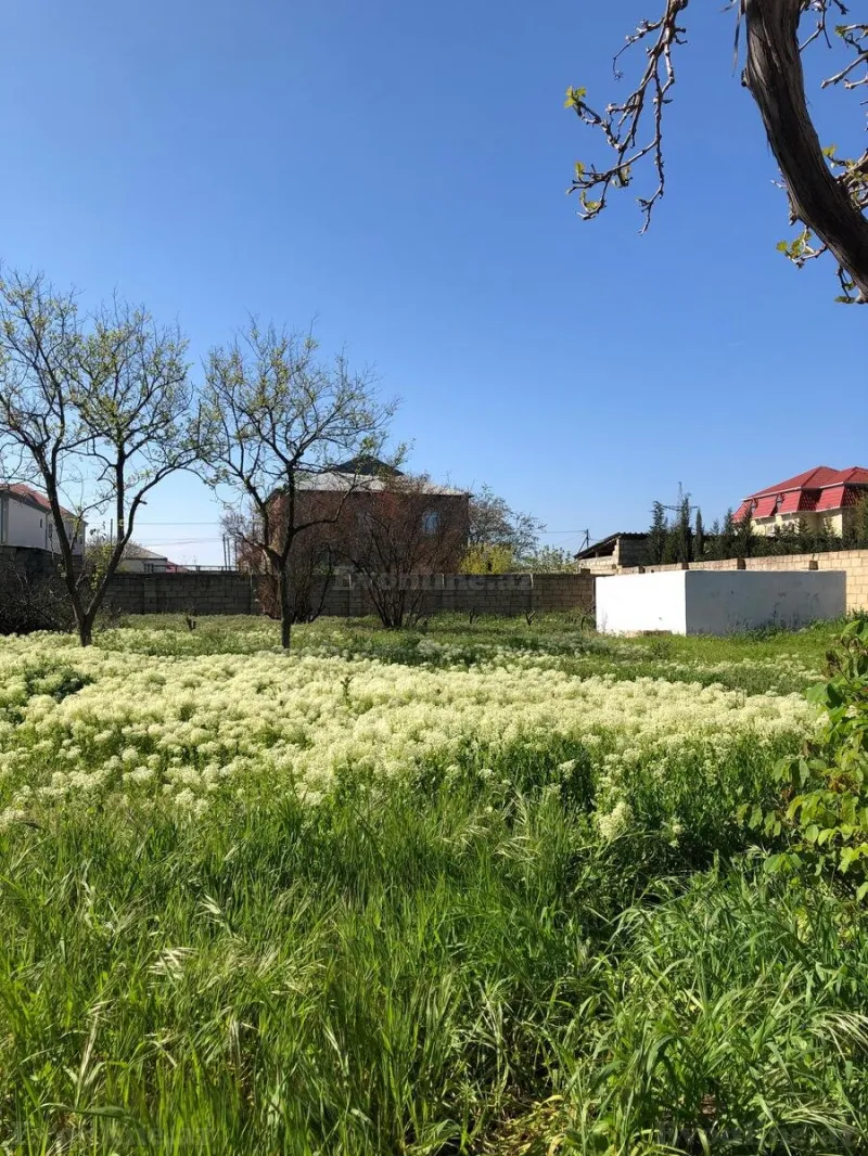 Satılır Torpaq 10 sot Saray - şəkil 20