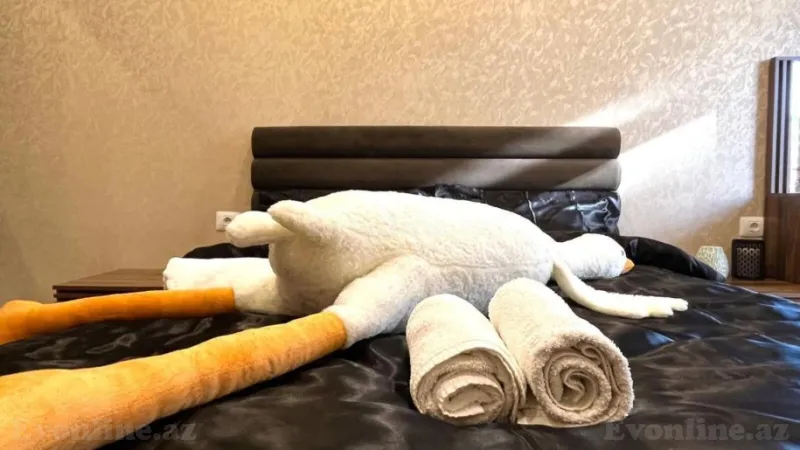 Satılır 2 otaqlı Mənzil Yeni tikili 58 m² Xətai r. - şəkil 10