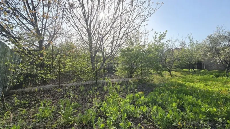 Satılır Torpaq 5 sot İsmayıllı - şəkil 2