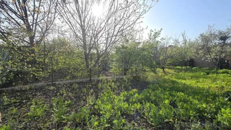 Satılır Torpaq 5 sot İsmayıllı - şəkil 3