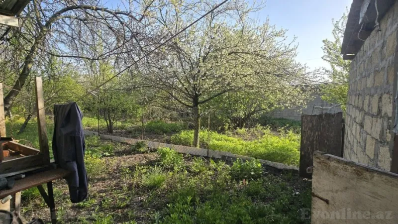 Satılır Torpaq 5 sot İsmayıllı - şəkil 4