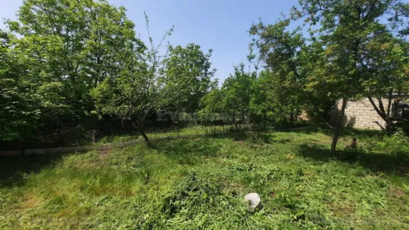 Satılır Torpaq 5 sot İsmayıllı - şəkil 5