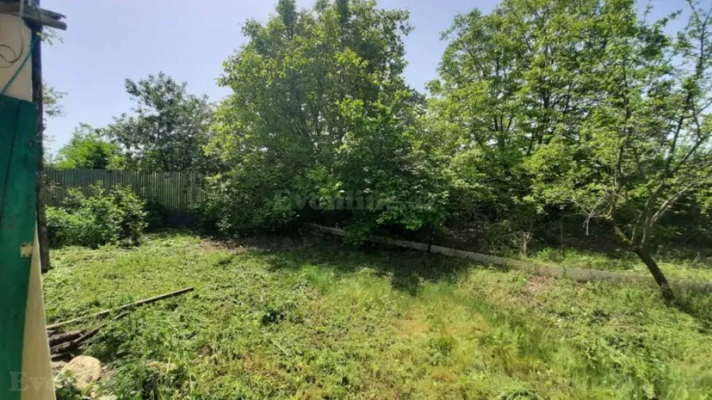 Satılır Torpaq 5 sot İsmayıllı - şəkil 6