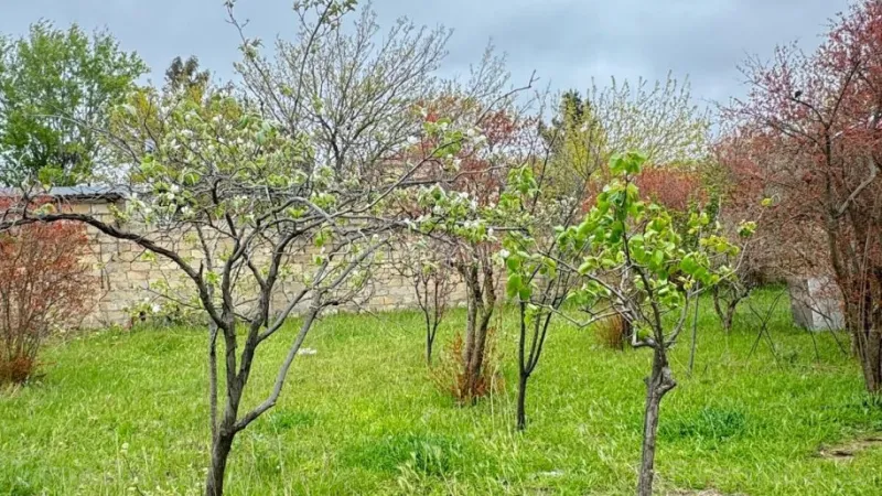 Satılır Torpaq 2 sot Novxanı