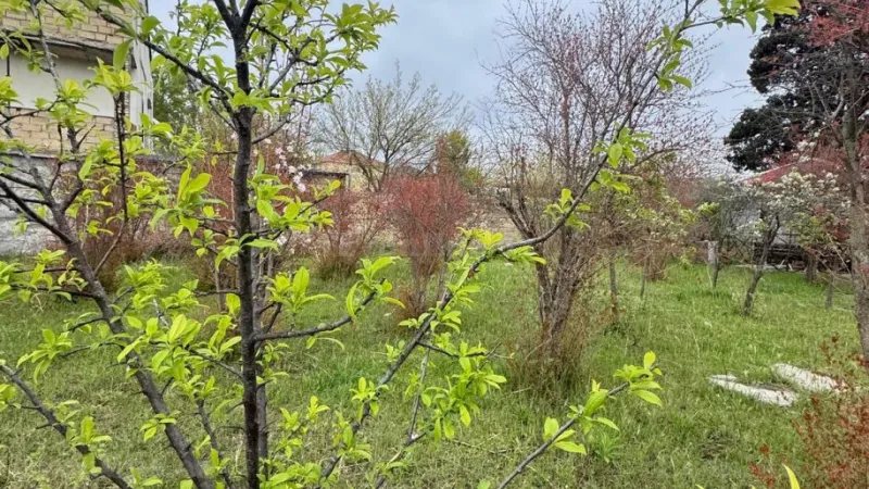 Satılır Torpaq 2 sot Novxanı - şəkil 5