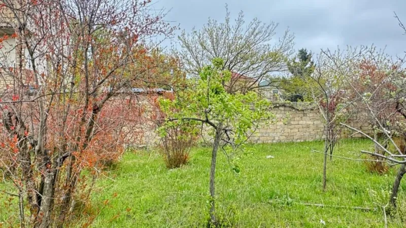 Satılır Torpaq 2 sot Novxanı - şəkil 7