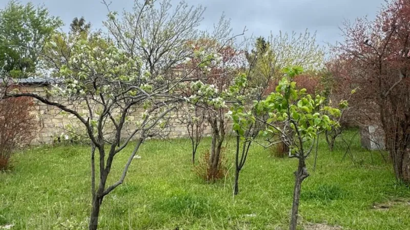 Satılır Torpaq 2 sot Novxanı - şəkil 9