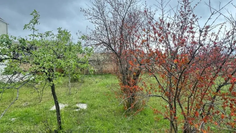 Satılır Torpaq 2 sot Novxanı - şəkil 11