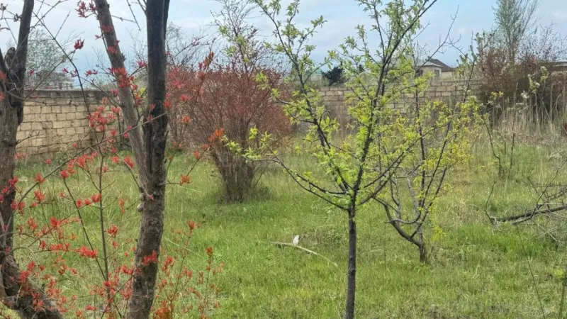 Satılır Torpaq 2 sot Novxanı - şəkil 12