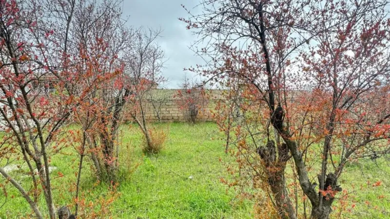 Satılır Torpaq 2 sot Novxanı - şəkil 17